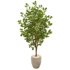 5.5ft. Oak Tree in Sand Colored Planter