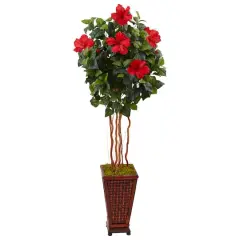 5ft. Red Hibiscus Tree in Decorative Wooden Planter