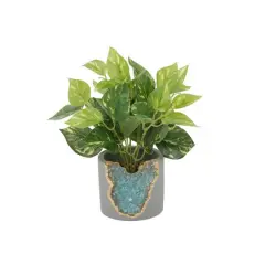 Flora Bunda&reg; 10" Devil's Ivy in Blue Crystal Planter