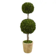 4ft. Boxwood Double Ball Topiary Tree in Planter
