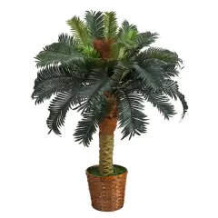 3ft. Sago Palm Tree in Woven Planter