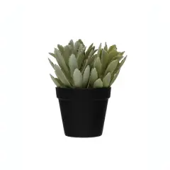 Hello Honey&reg; Faux Succulent In Pot