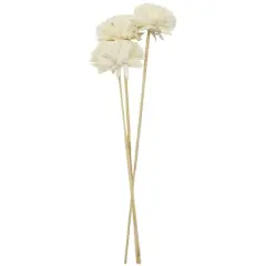 20" Natural Jasmine Sola Flowers, 3ct. by Ashland&reg;