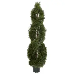 5ft. Potted Double Pond Cypress Spiral Topiary Tree