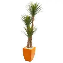 5.5ft. Yucca Tree in Orange Planter