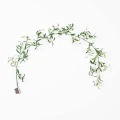 6.5ft. Pre-Lit LED Green Olive Leaf Garland