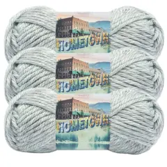3 Pack Lion Brand&reg; Hometown Variegates Yarn Fayetteville Frost