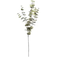 38" Light Green Eucalyptus Stem by Ashland&reg;