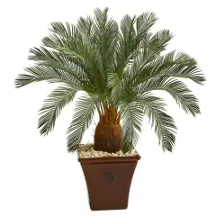 3.5ft. Cycas Tree in Brown Planter