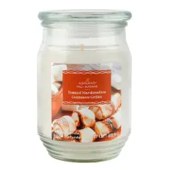 17oz. Fall Scented Jar Candle by Ashland&reg; Toasted Marshmallow