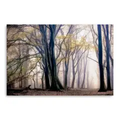 Fall Softly Canvas Giclee