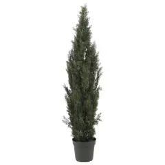 6ft. Cedar Pine Tree