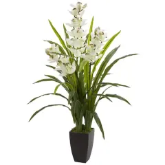 3.5ft. White Cymbidium Orchid in Planter