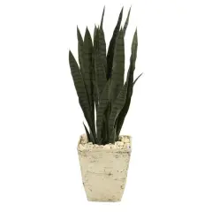 3ft. Snake Plant in Country White Planter
