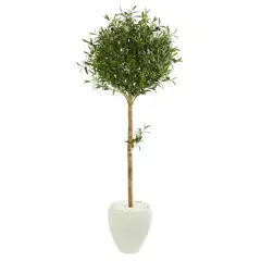 5ft. Olive Topiary Artificial Tree in White Planter