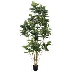 7ft. Potted Green Rubber Tree