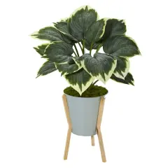 2.5ft. Hosta Plant in Green Planter with Stand