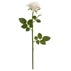 Rose Flower Stem, 12ct. Champagne