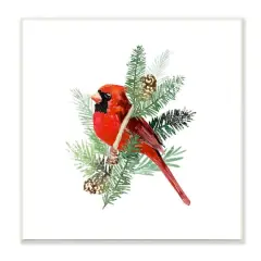 Stupell Industries Red Cardinal Pine Branch Minimal Bird Portrait,12" x 12"