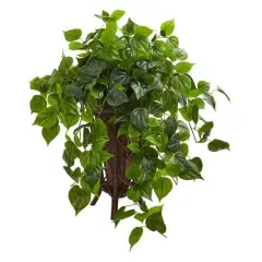 2.5ft. Philodendron Plant in Stand Planter