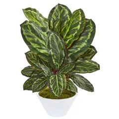 26" Maranta Artificial Plant in White Vase