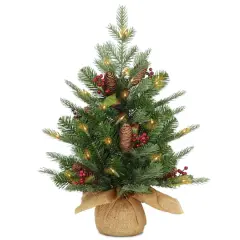 2ft. Pre-Lit Nordic Spruce&reg; Artificial Christmas Tree, Warm White LED Lights