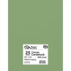 PA Paper&trade; Accents 8.5" x 11" 80lb. Canvas Cardstock Paper, 25 Sheets Desert Cactus