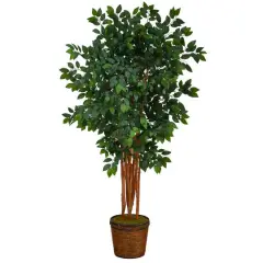5.5ft. Sakaki Artificial Tree in Wicker Planter
