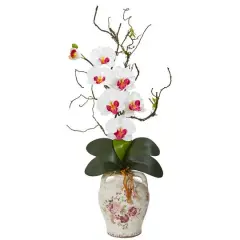 2.5ft. Moth Orchid & Twig Arrangement in Floral Jar White