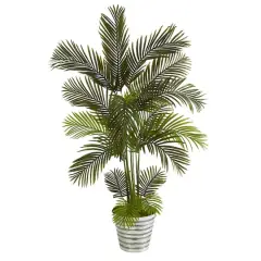 5.5ft. Areca Palm Tree in Decorative Tin Bucket