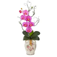 2.5ft. Moth Orchid & Twig Arrangement in Floral Jar Dark Pink