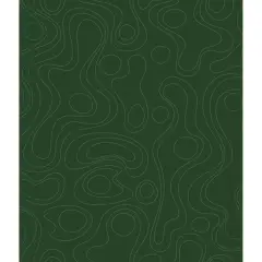 RoomMates Emily Rayna Lineation Peel & Stick Wallpaper Green