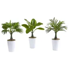 18" Assorted Mini Palm and Banana Plant in White Planter Set