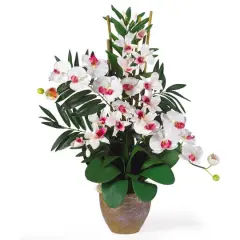 29" Double Phalaenopsis & Dendrobium Silk Orchid Arrangement White/Pink