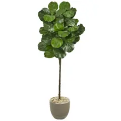 5.5ft. Fiddle Leaf Tree in Sand Stone Finish Planter