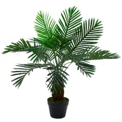 3ft. Potted Green Palm Plant