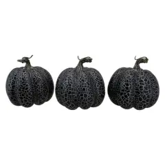 5" Black & Silver Fall Harvest Tabletop Pumpkin Set