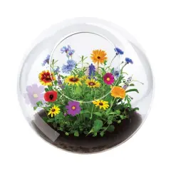Glass Terrarium - Wildflower Blooms