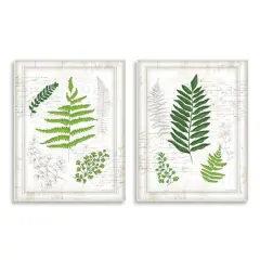 Stupell Industries Antique Fern Study with Script Forest Greenery Wall Plaque Set