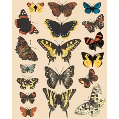 Butterflies Paint-by-Number Kit by Artist's Loft&reg;