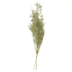 26" Natural Caspia Flowers by Ashland&reg;