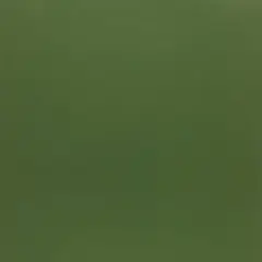 PA Paper&trade; Accents 12" x 12" 65lb. Cardstock, 25 Sheets Parrot