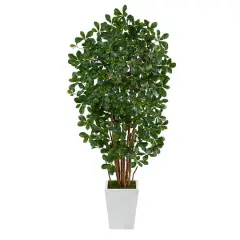 5.5ft. Black Olive Artificial Tree with 1365 Bendable Leaves in Metal White Planter