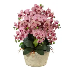 3ft. Moth Orchid Arrangement in White Vase