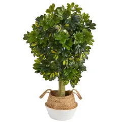 4ft. Schefflera Artificial Tree in Boho Chic Handmade Cotton & Jute White Woven Planter (Real Touch)