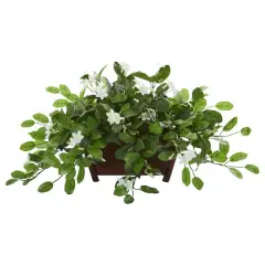 14" Mix Stephanotis in Rectangular Decorative Planter