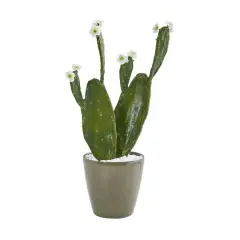 2ft. Flowering Cactus in Green Planter