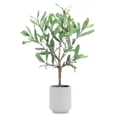 17.5" Potted Olive Leaf Topiary