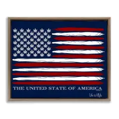 Stupell Industries Herb America Flag Floater Framed Art Brown