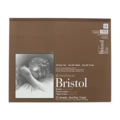 Strathmore&reg; 400 Series Bristol Smooth Paper Pad